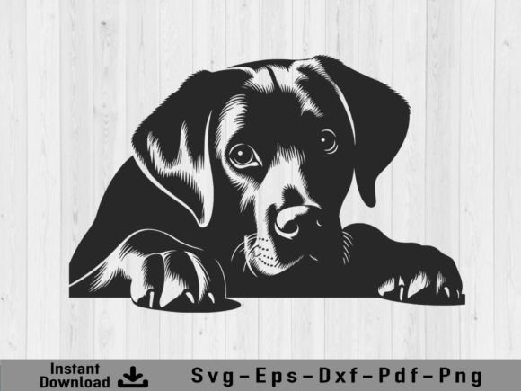 Download Peeking Labrador Retriever Dog Svg File - Dog svg Collection